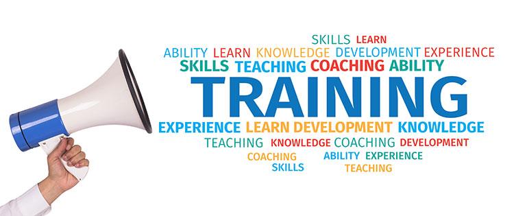 word cloud image featuring the word "Training" surrounded by other words like "Coaching," "Experience," "Knowledge," et.