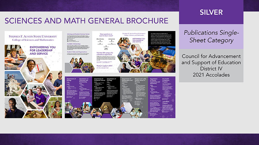 Sciences and Math General Brochure - Silver in Publications Single-Sheet Category