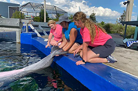 Students examining a dolphin's tail