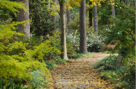 Mast Arboretum