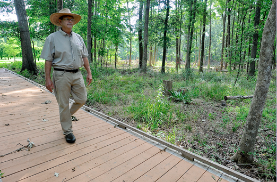 a person strolling through a forest