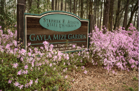 the Gayla Mize Garden sign