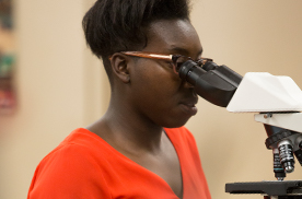 Cellular & Molecular Biology