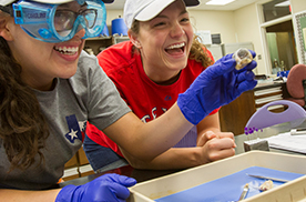 Conservation Ecology & Evolutionary Biology