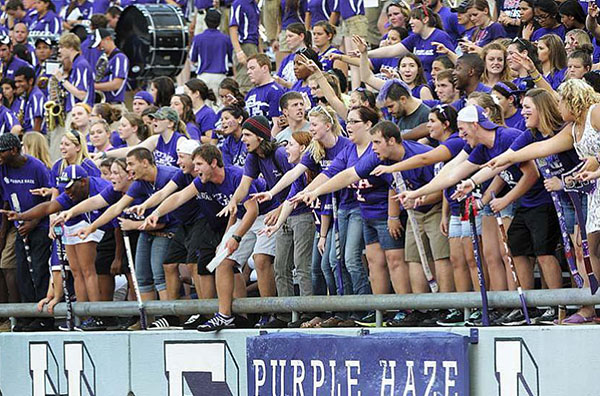 Purple Haze section