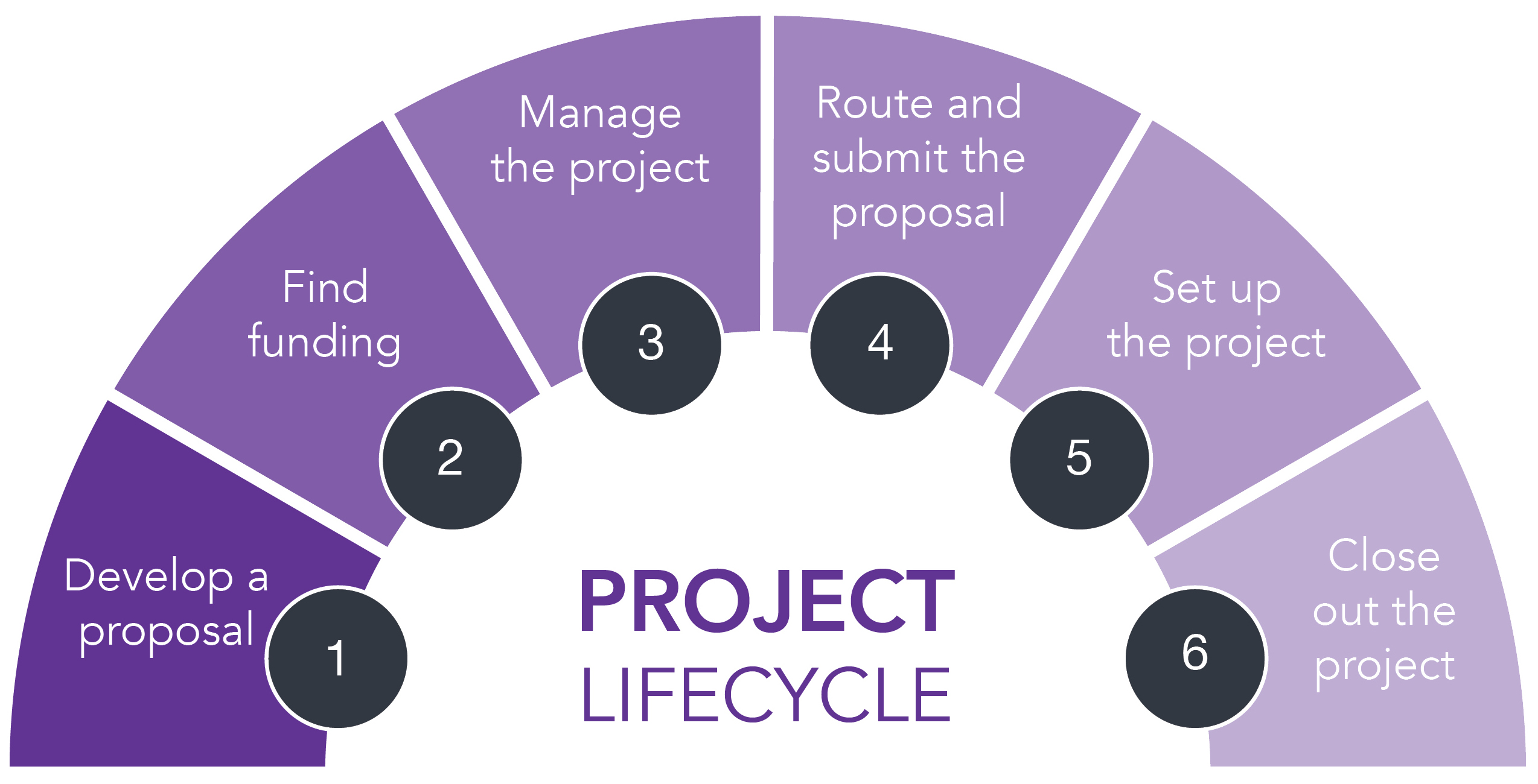 graph of the ORGS project lifecycle