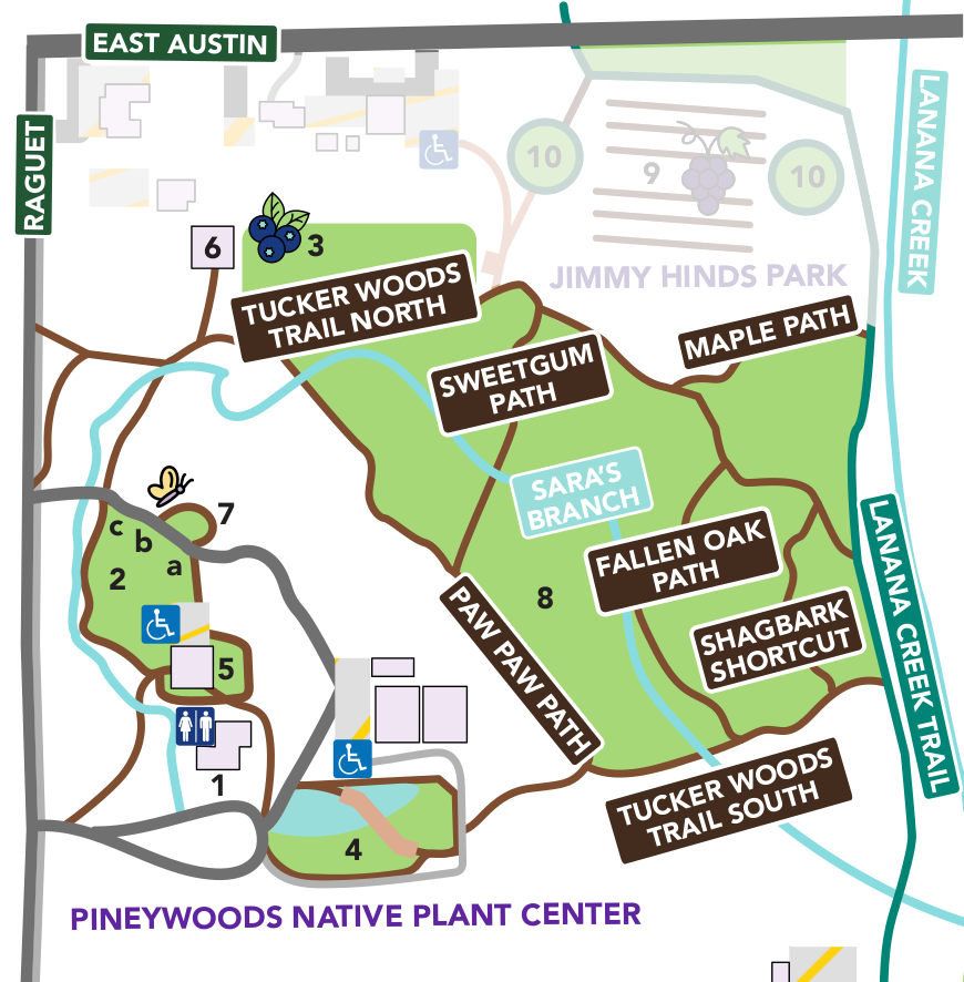 Pineywoods Native Plant Center