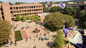 Zoom Background 14 - Aerial View of Quad with SFA Gnome