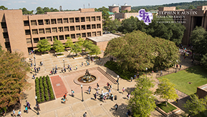 Zoom Background 15 - Aerial View of Quad