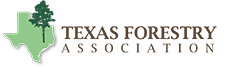 Texas Forestry Association