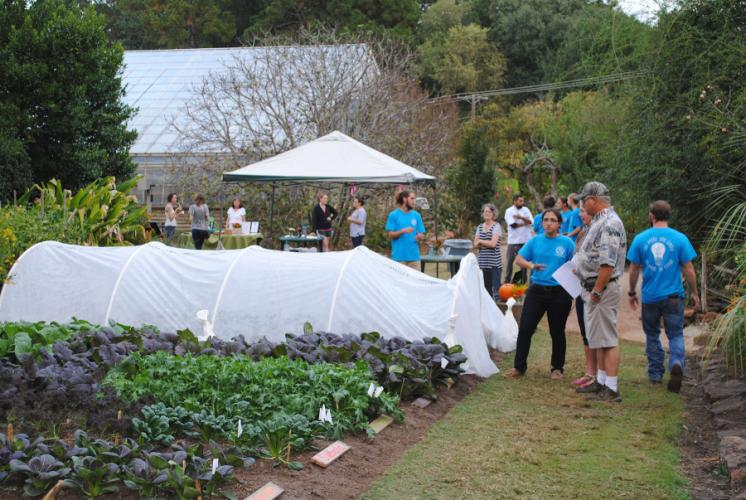 photo from a previous plant fair