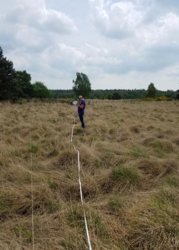 Senior fire management major Jessica Pruneda collects fuel load data.