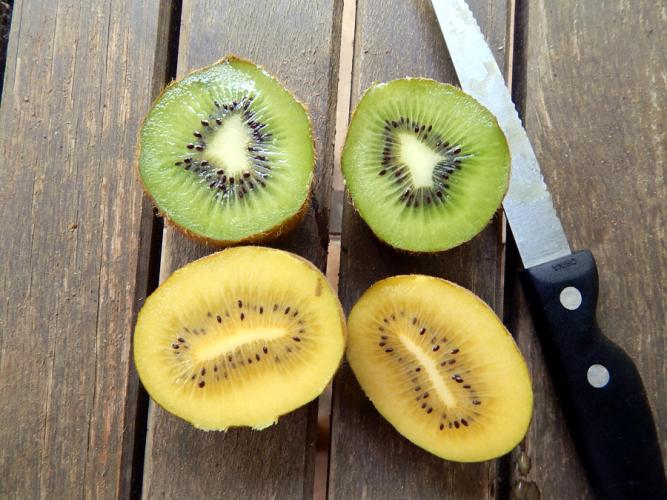 Kiwifruit