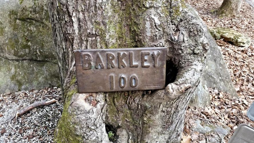download the barkley race