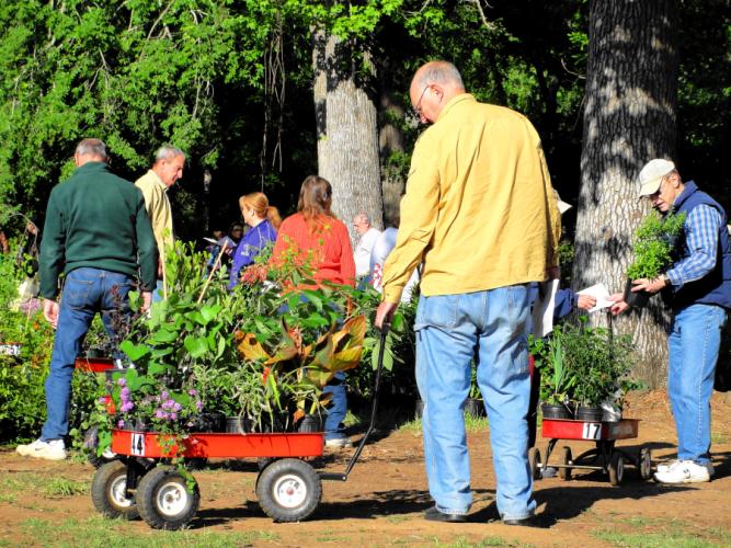 Fall plant sale photo