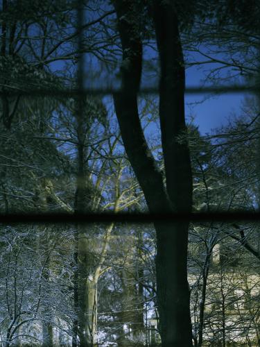 "Window-pane, Second West Window" is among the photographs featured in the exhibition