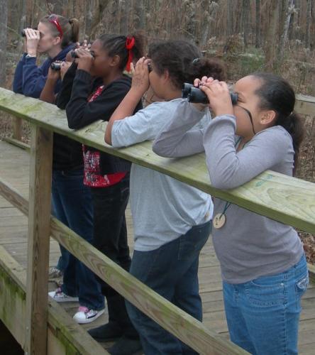 Great Backyard Bird Coun