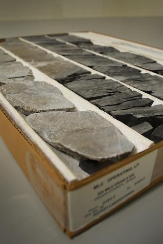 items in the  East Texas Core Repository