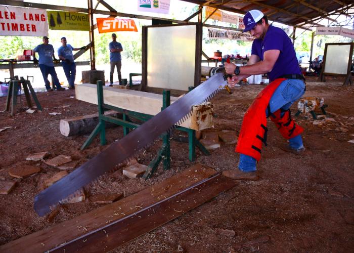 SFA forestry major and Sylvans team member Mitchell Meyer participates in the single buck crosscut event.