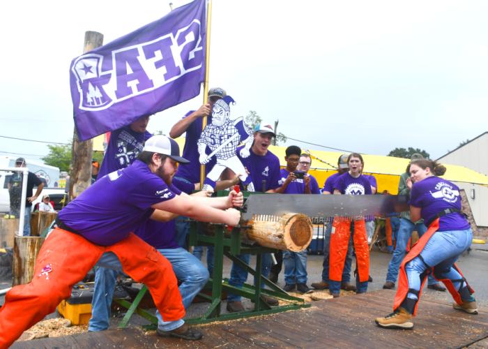 SFA students Mason Helm and Natalie Scammell compete in the Jack and Jill crosscut competition.