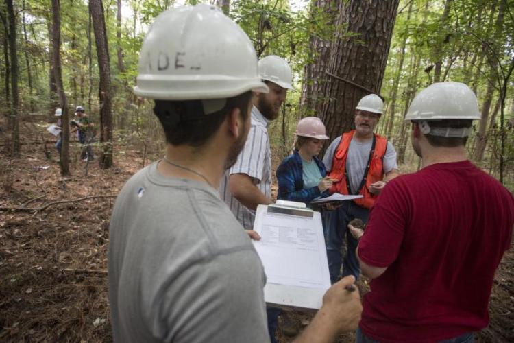 Group of people wearing hard hats, working in a forested area