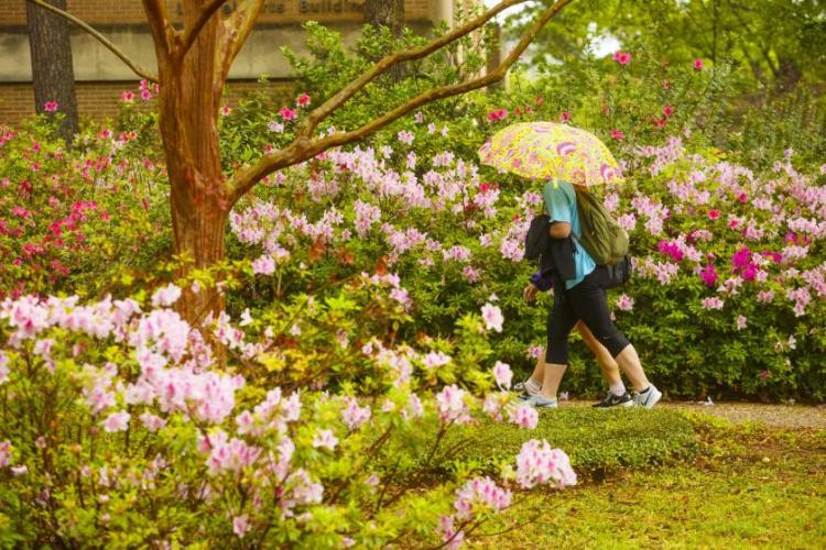 Two people walking under a colorful umbrella near blooming flowers