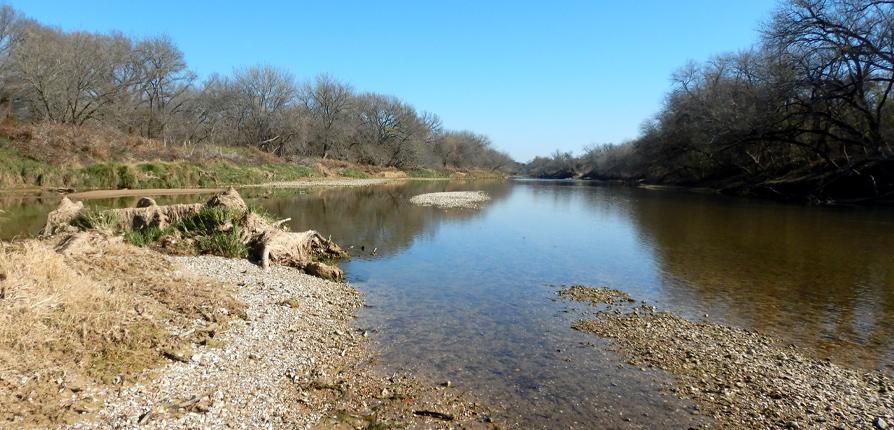 Multiple habitats were sampled in the middle Brazos River in McLennan County, Texas, in December 2020. Fish found at these sampling sites underwent analysis of morphology, stomach contents and stable isotopes.