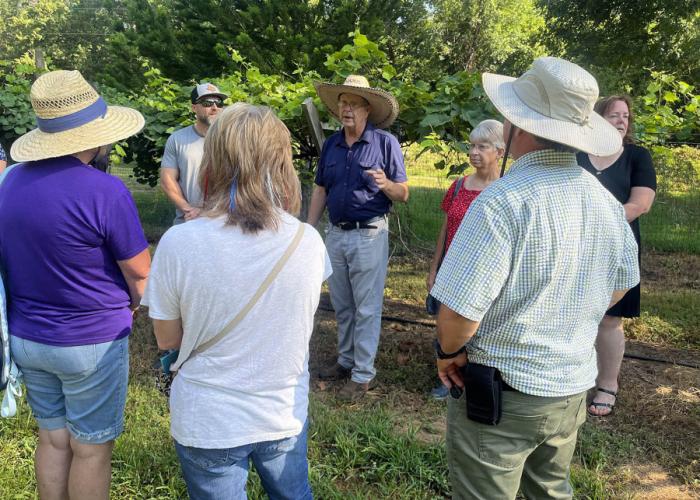 Stephen F. Austin State University’s SFA Gardens will host a fruit research field day from 9 a.m. to 3 p.m. Sept. 19 featuring kiwifruit, muscadine grapes, blueberries, figs, feijoas and other fruits.