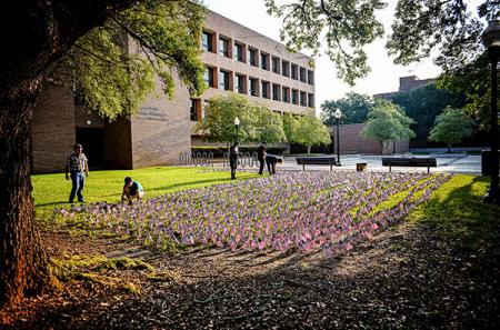 To commemorate the 19th anniversary of one of the worst attacks on U.S. soil in modern history, SFA’s Young Conservatives of Texas and volunteers placed 2,977 American flags outside the McKibben Education Building the morning of Sept. 11, 2020 — one flag for each person who died in the Sept. 11 attacks.