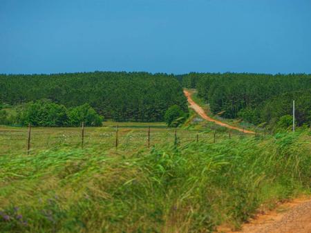 After: Seemingly undisturbed landscapes of forests, native grasslands or improved grasses supporting fish, wildlife and livestock. Photo by Robin Johnson '99, '19