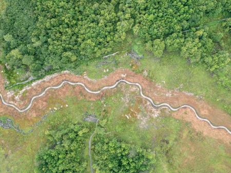 After: Reestablished natural stream sinuosity and native vegetation along waterways.