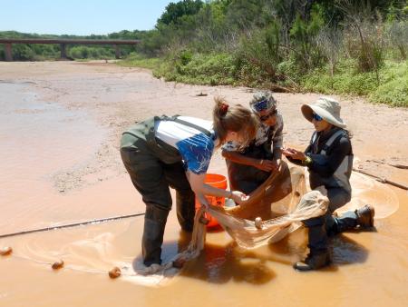 Dr. Carmen Montaña-Schalk, right, conducts fish sampling with students in the upper Brazos River.