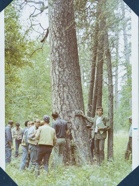 In addition to a camp located in Milam, Texas, a second summer camp in Mountainair, New Mexico, began in the 1960s to allow students to study forests in the American West. Though the year is unknown, the photo shows forestry students during one such annual silviculture trip.