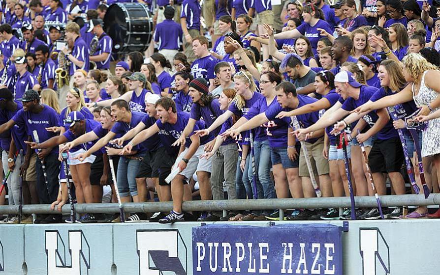 SFA traditions: Purple Haze