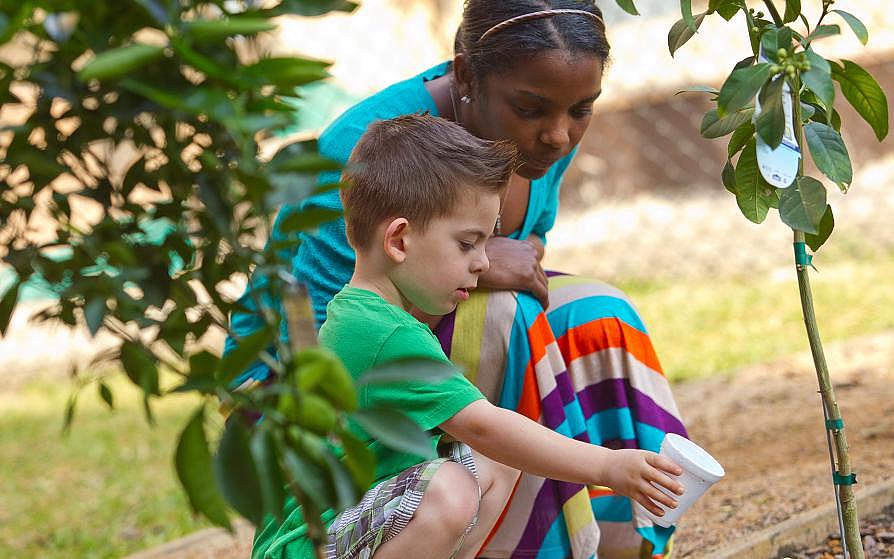 Child Welfare Professional Development Project at SFA