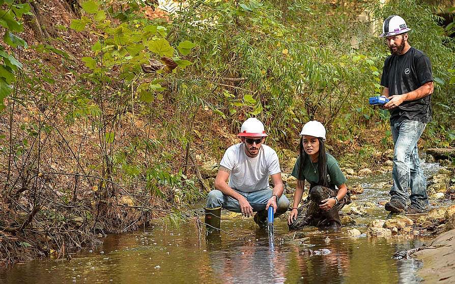 forestry students involved in research