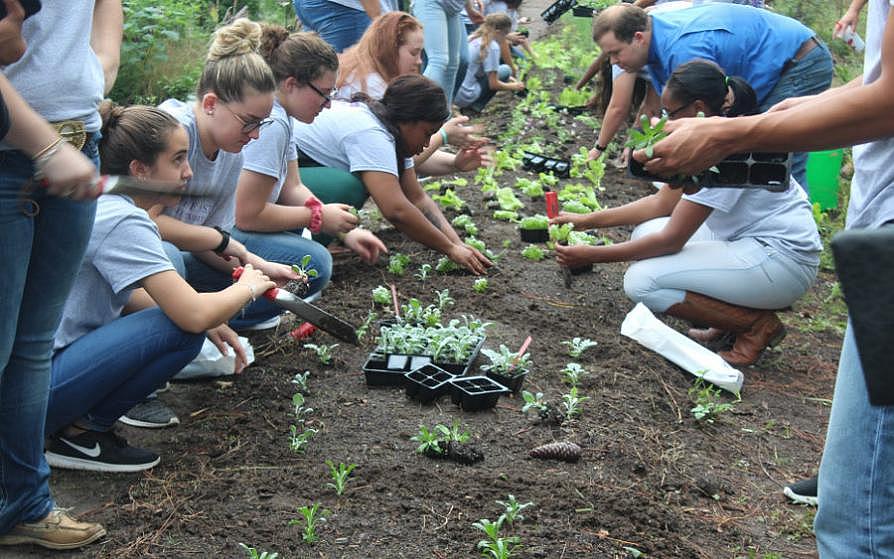 Students working in a garden