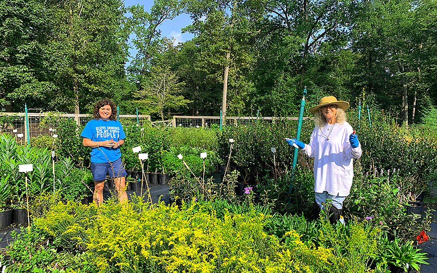 SFA Gardens volunteers