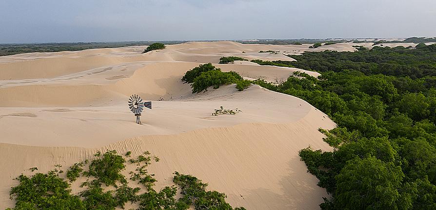 Ranchlands and Rearch