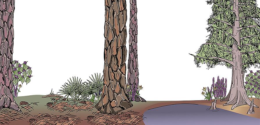 Illustration by Emily "Kubs" Kubisch '17