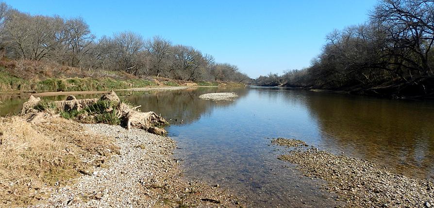 Multiple habitats were sampled in the middle Brazos River in McLennan County, Texas, in December 2020. Fish found at these sampling sites underwent analysis of morphology, stomach contents and stable isotopes.