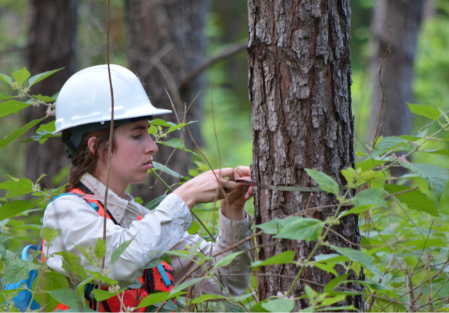 forestry student at field station