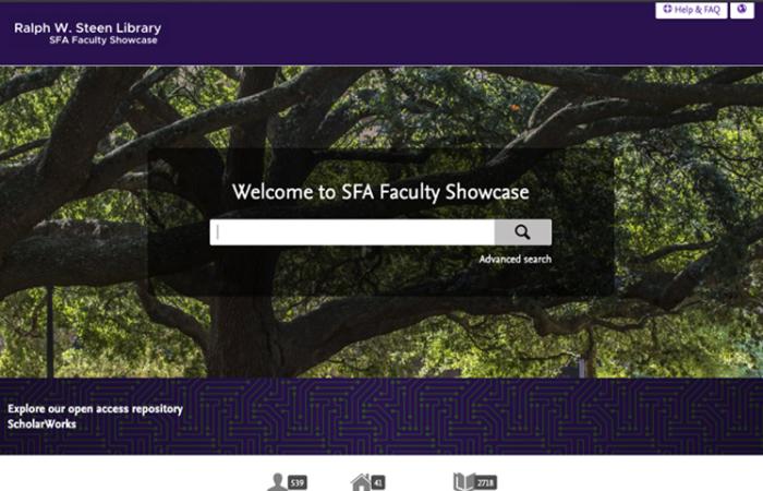 Screenshot of faculty showcase platform