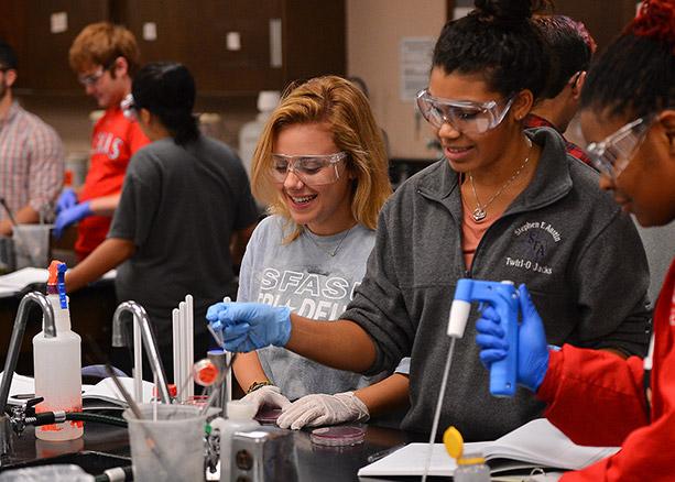 Research Opportunities