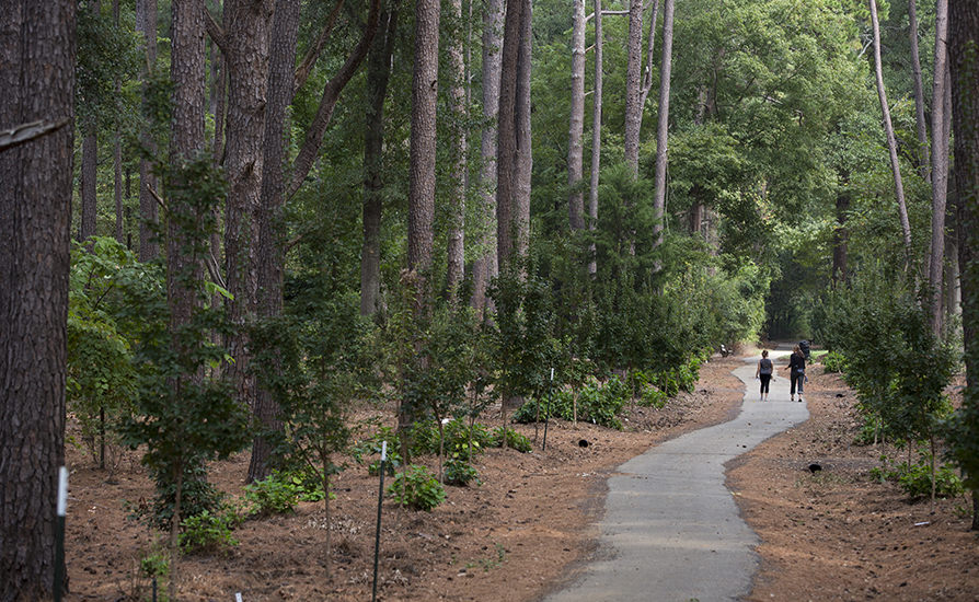 Walking path on SFA campus