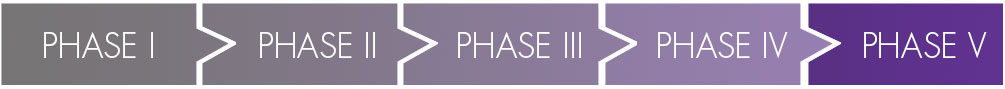 Phase V